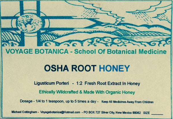 OSHA ROOT HONEY - (Ligusticum porteri)  -  4 ounce size -