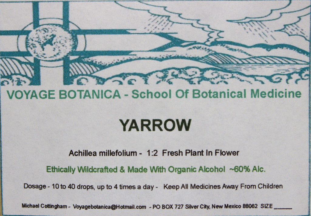 YARROW EXTRACT - Achillea millefolium - 4 ounce size