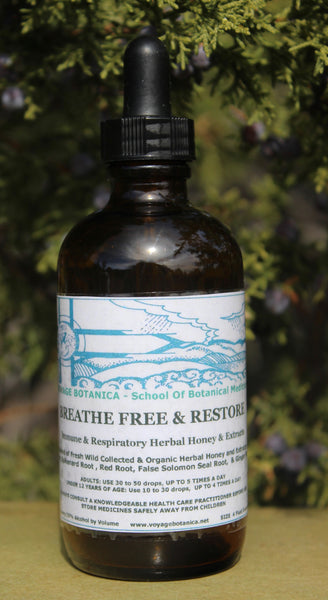 BREATHE FREE & RESTORE - Immune & Respiratory Herbal Honey & Extracts -  4 Ounce Size