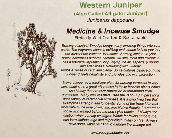 ALLIGATOR JUNIPER - Juniperus deppeana - Smudges for Cleansing, Blessing, Protection  (3 count) -