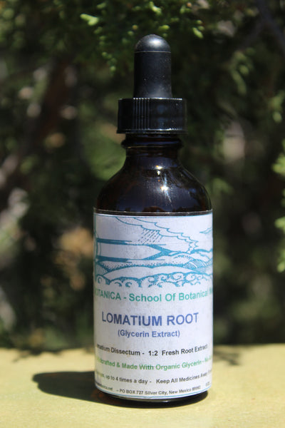 LOMATIUM ROOT - (GLYCERIN EXTRACT) - Lomatium dissectum - 2 Ounce Size *Alcohol Free