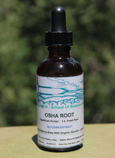 Glycerin Extract - (Alcohol Free) - Fresh Osha Root - Ligusticum porteri - 2 Ounce Size -  Ready To Ship May 15th, 2022