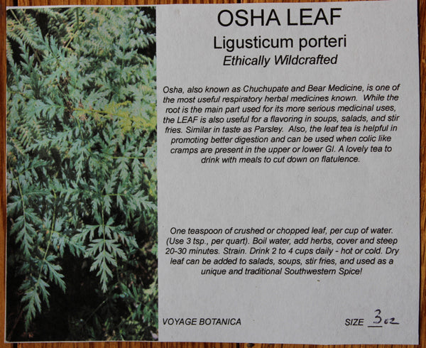 OSHA LEAF (Dry) - 3 Ounces - Seldom Available - Amazing Spice/Medicine Plant From The Southwest!  (New leaf on the rack drying, should ship by mid June!)