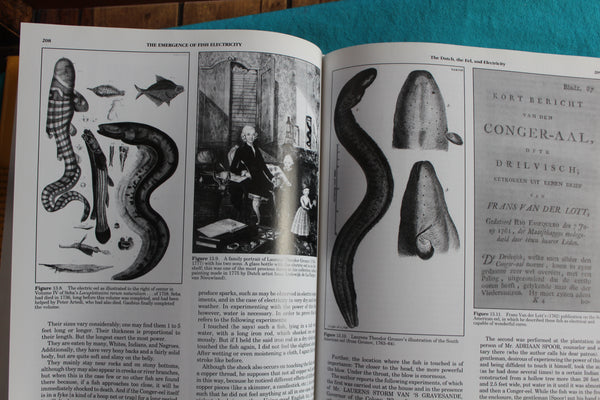 Shocking History of Electric Fishes : From Ancient Epochs to the Birth of Modern Neurophysiology Finger, Stanley; Piccolino, Marco -