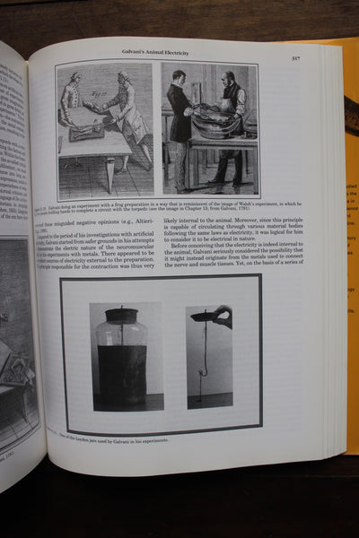 Shocking History of Electric Fishes : From Ancient Epochs to the Birth of Modern Neurophysiology Finger, Stanley; Piccolino, Marco -
