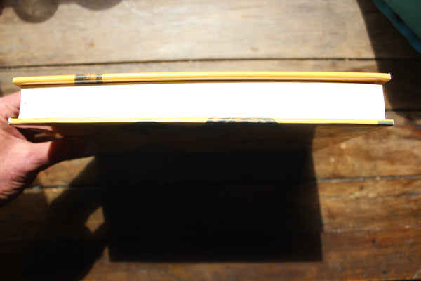 Shocking History of Electric Fishes : From Ancient Epochs to the Birth of Modern Neurophysiology Finger, Stanley; Piccolino, Marco -