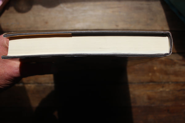 Shocking History of Electric Fishes : From Ancient Epochs to the Birth of Modern Neurophysiology Finger, Stanley; Piccolino, Marco -