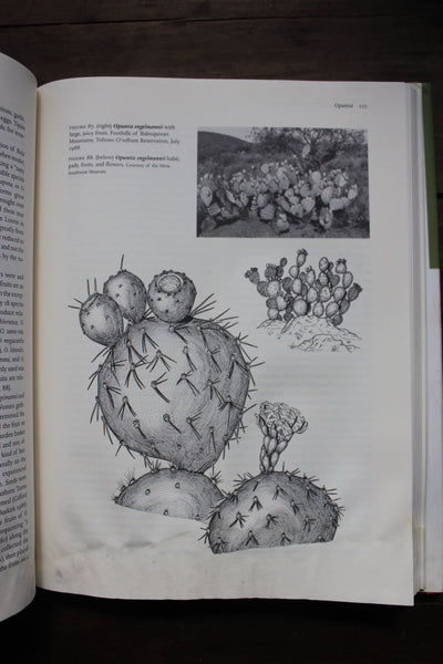 Food Plants of the Sonoran Desert.  Hodgson, Wendy C. - Hardcover