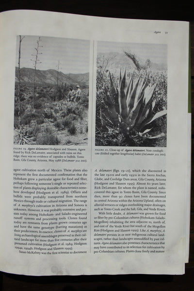 Food Plants of the Sonoran Desert.  Hodgson, Wendy C. - Hardcover