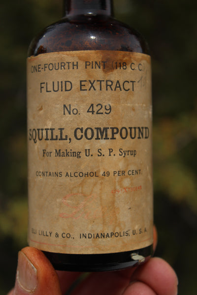 Old Apothecary Bottle  - Circa 1900 to 1920- FLUID EXTRACT N0. 429 - SQUILL COMPOUND - Eli Lilly Co., Indianapolis, U.S. A. Fine Condition  - Please No Discount Codes On This Listing