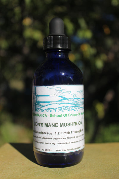 LION'S MANE MUSHROOM - Hericium erinaceus - 4 Ounce Size Extract !