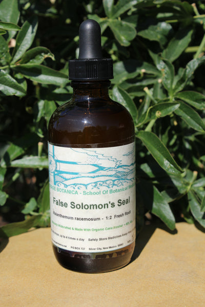 FALSE SOLOMON'S SEAL EXTRACT - Maianthemum racemosum - 4 Ounce Size   -