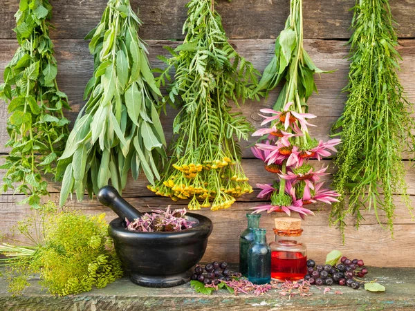 HERBAL MEDICINE BI-MONTHLY CSA or CSHM - Every Other Month You Will Receive An Amazing Collection Of Herbal Products And In Total Will Be Worth Over Twice What This CSA Costs!!  PLUS - There Is A Bonus!!