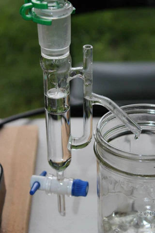 PAYMENT IN FULL w/DISCOUNT!!!) VOYAGE BOTANICA - 7 Month FIELD Program - Over 300 Hours With The Medicine Plants! Limited Spots!