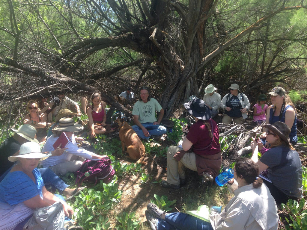 SPECIAL OFFER - Limited Spots (1) - An Incredible Teaching Offer - 30 Private Online Sessions and a 5 day field adventure with me in my Sacred Medicine Gardens!  ( 2 Payments of $625.00) Read Below!