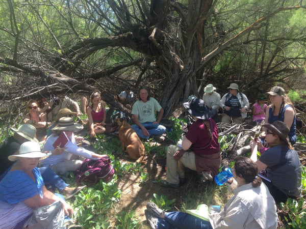 SPECIAL OFFER - Limited Spots (1) - An Incredible Teaching Offer - 30 Private Online Sessions and a 5 day field adventure with me in my Sacred Medicine Gardens!  ( 2 Payments of $625.00) Read Below!