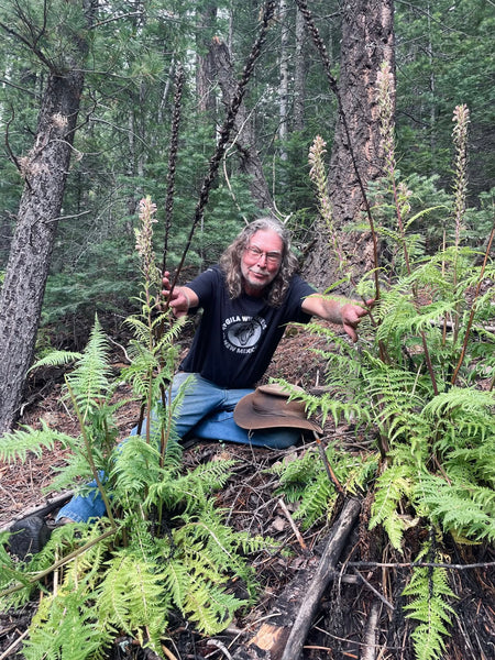 MY FINAL PLANT MEDICINE - Field Teaching Sessions For Summer/Fall 2027 - Only 3 Spots Available - No Discount Codes -