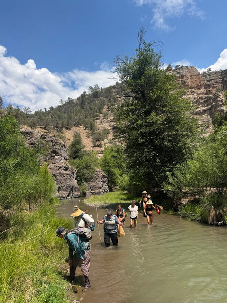 MY FINAL PLANT MEDICINE - Field Teaching Sessions For Summer/Fall 2027 - Only 3 Spots Available - No Discount Codes -