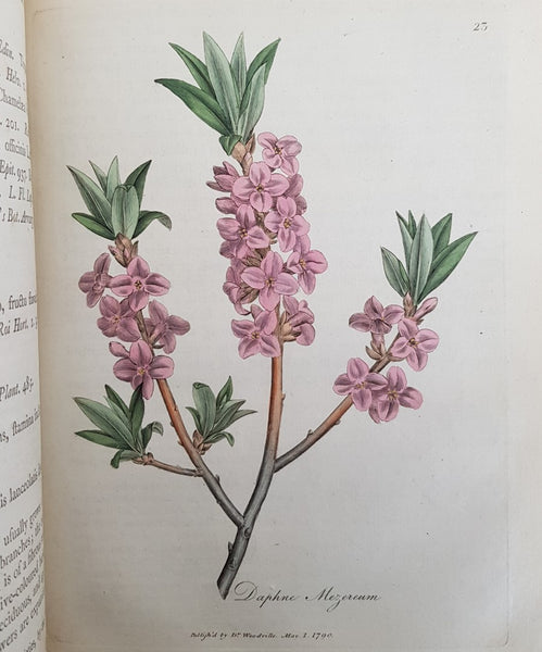 RARE & IMPORTANT WORK - William Woodville 1790 1st Edition - MEDICAL BOTANY - w/274 RARE Hand Colored Engraved Plates! 4 Volumes  FINE & Outstanding!