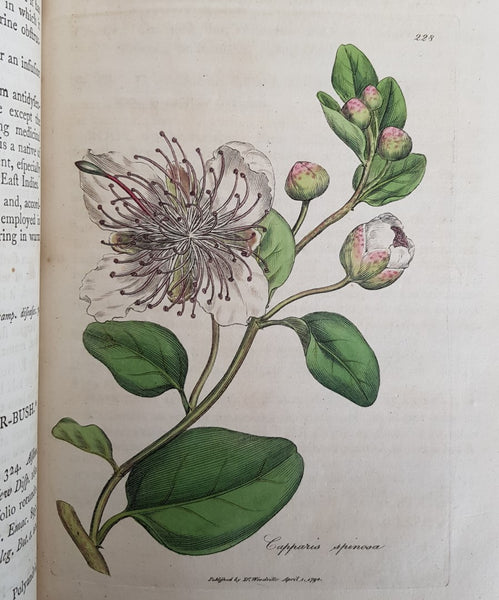 RARE & IMPORTANT WORK - William Woodville 1790 1st Edition - MEDICAL BOTANY - w/274 RARE Hand Colored Engraved Plates! 4 Volumes  FINE & Outstanding!