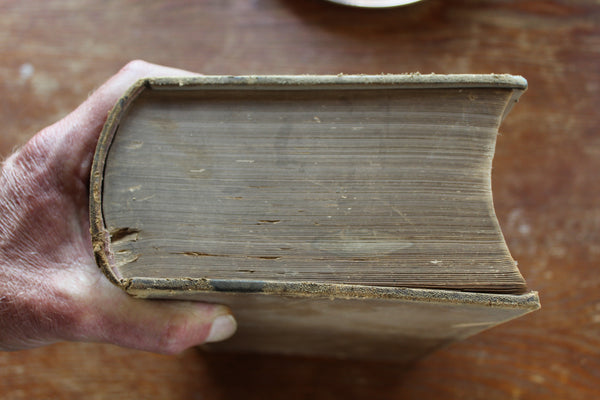 1877 The Dispensatory of the United States by Wood & Bache 14th Edition