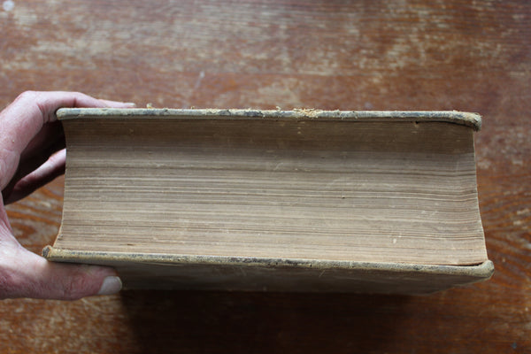 1877 The Dispensatory of the United States by Wood & Bache 14th Edition