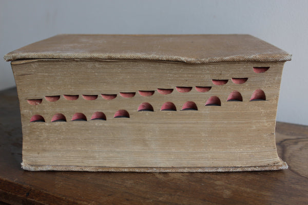Dispensatory of the United States Remington & Wood  20th Ed. 1918 Cloth Bound Illus - An Inexpensive and Usable Copy!