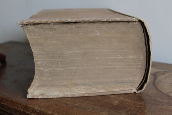 Dispensatory of the United States Remington & Wood  20th Ed. 1918 Cloth Bound Illus - An Inexpensive and Usable Copy!