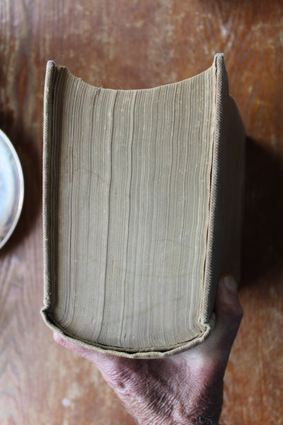 Dispensatory of the United States Remington & Wood  20th Ed. 1918 Cloth Bound Illus - An Inexpensive and Usable Copy!