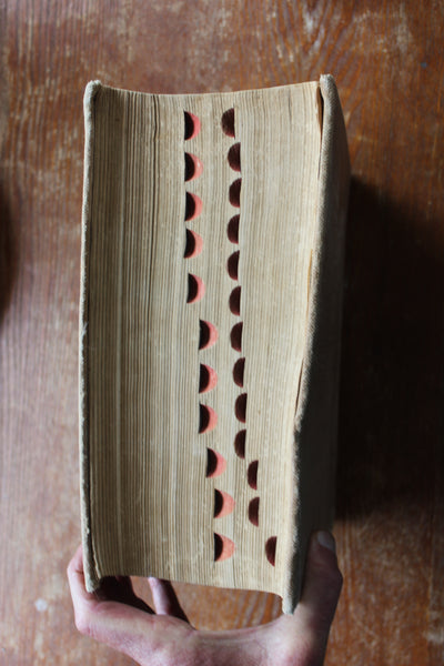 Dispensatory of the United States Remington & Wood  20th Ed. 1918 Cloth Bound Illus - An Inexpensive and Usable Copy!