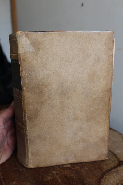 The National Dispensatory • Alfred Stillé & John Maisch •1880 -  Over 1600 pages of Mostly Botanical Medicine!