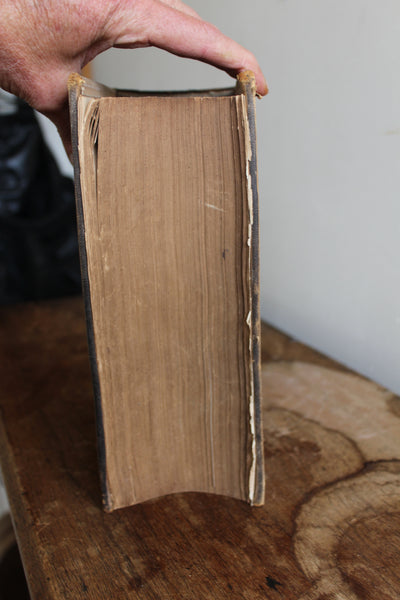 The National Dispensatory • Alfred Stillé & John Maisch •1880 -  Over 1600 pages of Mostly Botanical Medicine!