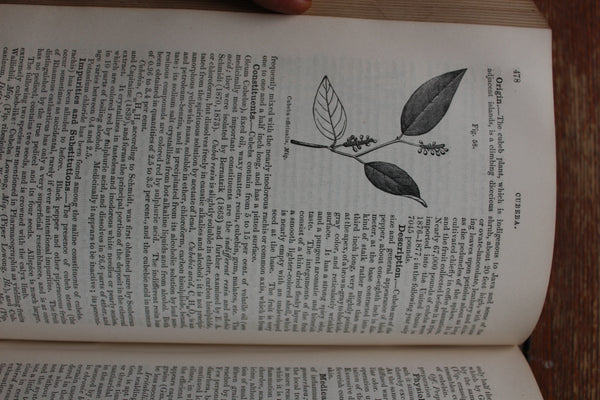 The National Dispensatory • Alfred Stillé & John Maisch •1880 -  Over 1600 pages of Mostly Botanical Medicine!