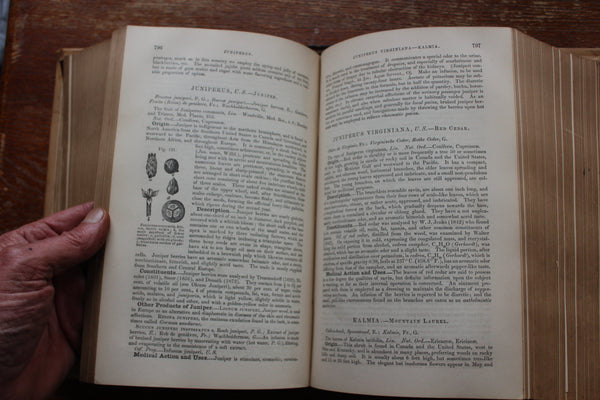 The National Dispensatory • Alfred Stillé & John Maisch •1880 -  Over 1600 pages of Mostly Botanical Medicine!
