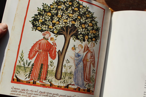 MEDICINA MAGICA by Biedermann The Classics of the Medicine Library HC RARE 1986 - Limited Edition Copy #19782