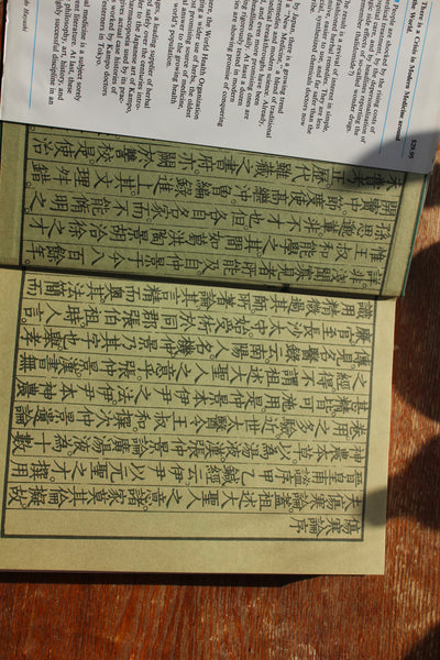 KAMPO - How The Japanese Updated Traditional Herbal Medicine -  First Edition - Very Good Cond.