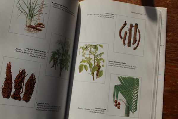 KAMPO - How The Japanese Updated Traditional Herbal Medicine -  First Edition - Very Good Cond.