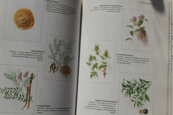 KAMPO - How The Japanese Updated Traditional Herbal Medicine -  First Edition - Very Good Cond.