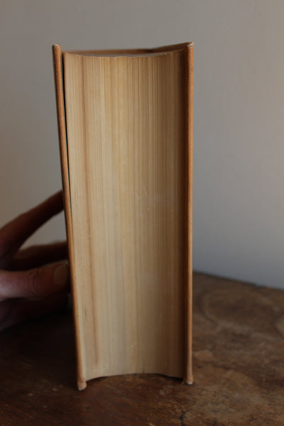 Practice of Pharmacy 5th Edition 1907 Joseph P Remington Illustrated Book RARE - THE Foundation of ALL Herbal Medicine Pharmacy started with this book!