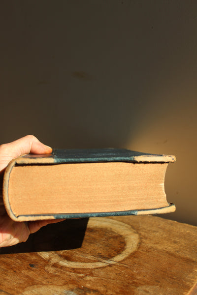 1890 THE DISPENSATORY Of The United States - 16th Edition - Wood & Bache - Hardcover VOLUME 1