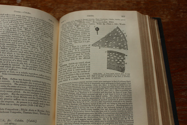 1890 THE DISPENSATORY Of The United States - 16th Edition - Wood & Bache - Hardcover VOLUME 1