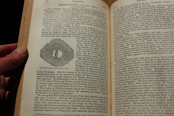 1890 THE DISPENSATORY Of The United States - 16th Edition - Wood & Bache - Hardcover VOLUME 1