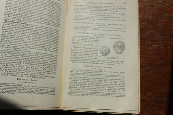 1890 THE DISPENSATORY - 16th Edition - Wood, Remington, & Sadtler, - In 7 Parts (paper edition) Extremely Rare