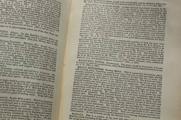 1890 THE DISPENSATORY - 16th Edition - Wood, Remington, & Sadtler, - In 7 Parts (paper edition) Extremely Rare