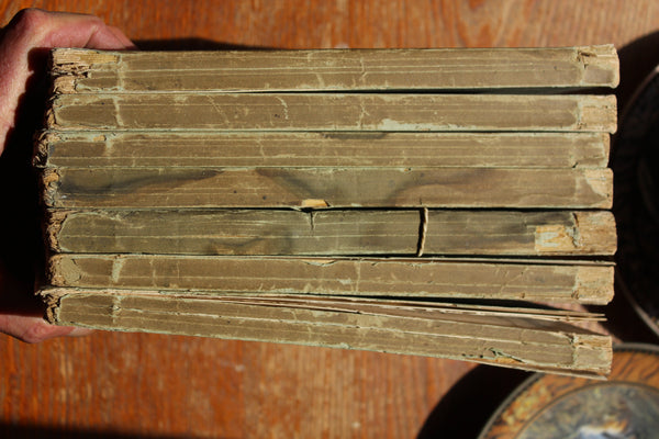 1890 THE DISPENSATORY - 16th Edition - Wood, Remington, & Sadtler, - In 7 Parts (paper edition) Extremely Rare