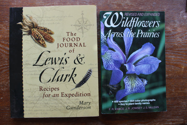 Ethnobotany, Herbal Medicine, Nature, Health - 4 Book Lot For One Great Price #20
