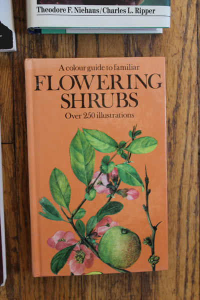 Ethnobotany, Herbal Medicine, Nature, Health - 4 Book Lot For One Great Price #21