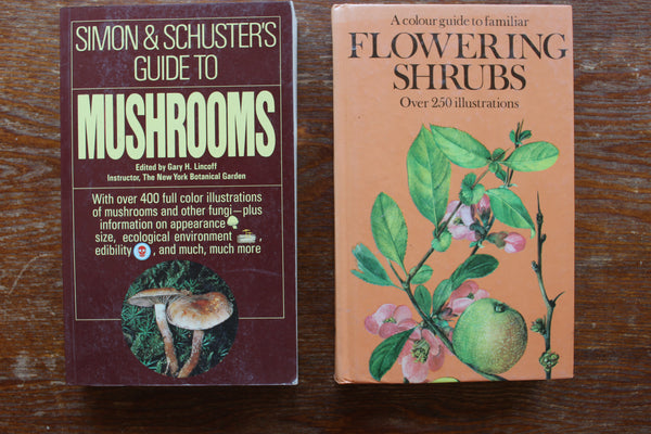 Ethnobotany, Herbal Medicine, Nature, Health - 4 Book Lot For One Great Price #21