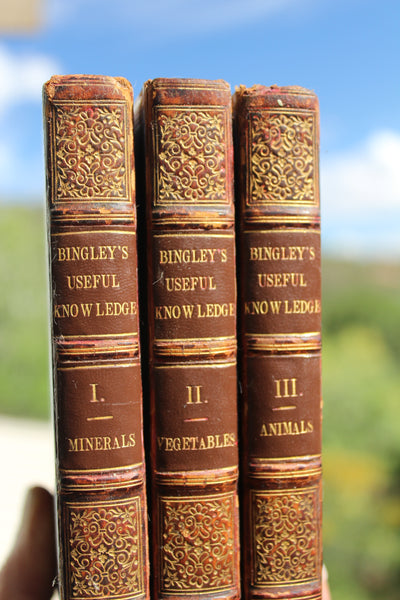 1825 - Useful Knowledge: or a familiar account of the various productions of Nature, Mineral, Vegetable, and Animal, which are chiefly employed for the use of Man: 4th Ed., 3 Vols