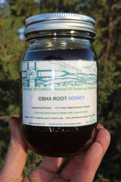 OSHA ROOT HONEY - (Ligusticum porteri)  -  12 ounce size -